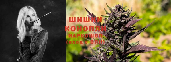 амф Великий Новгород