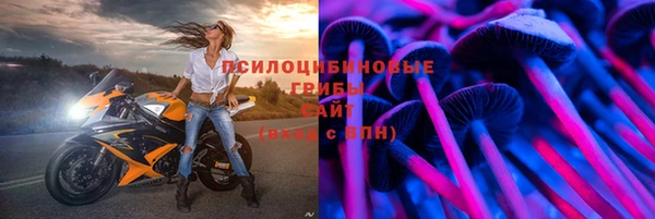 амф Великий Новгород
