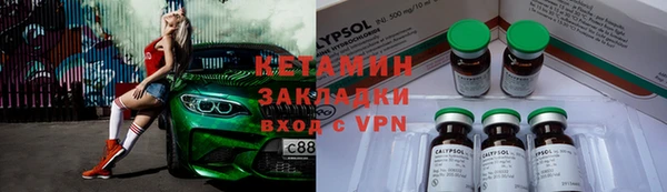 сатива Тобольск