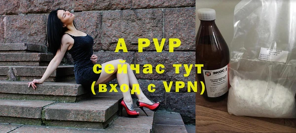 амф Великий Новгород