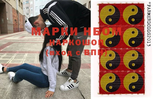 сатива Тобольск