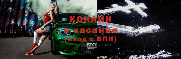 сатива Тобольск