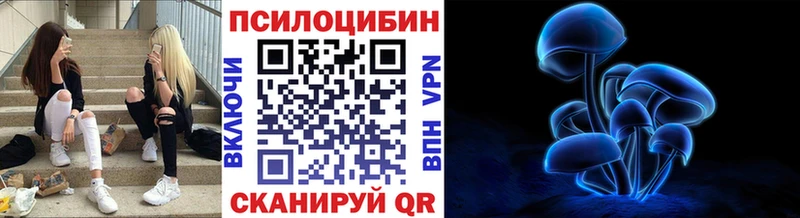 Галлюциногенные грибы MAGIC MUSHROOMS купить сайты Бабаево